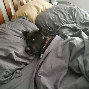 Meet your Posher, Amber